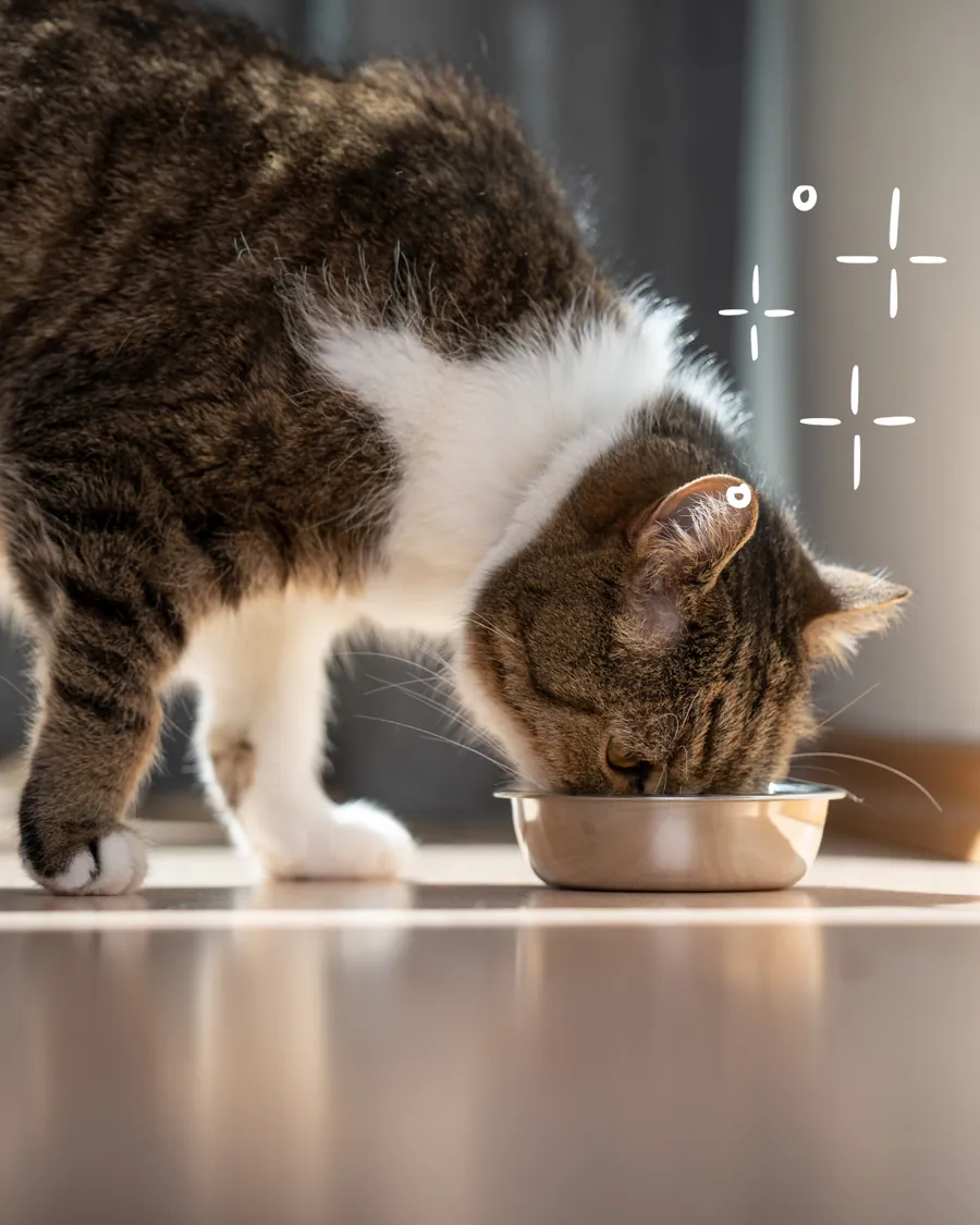 Healthy digestion