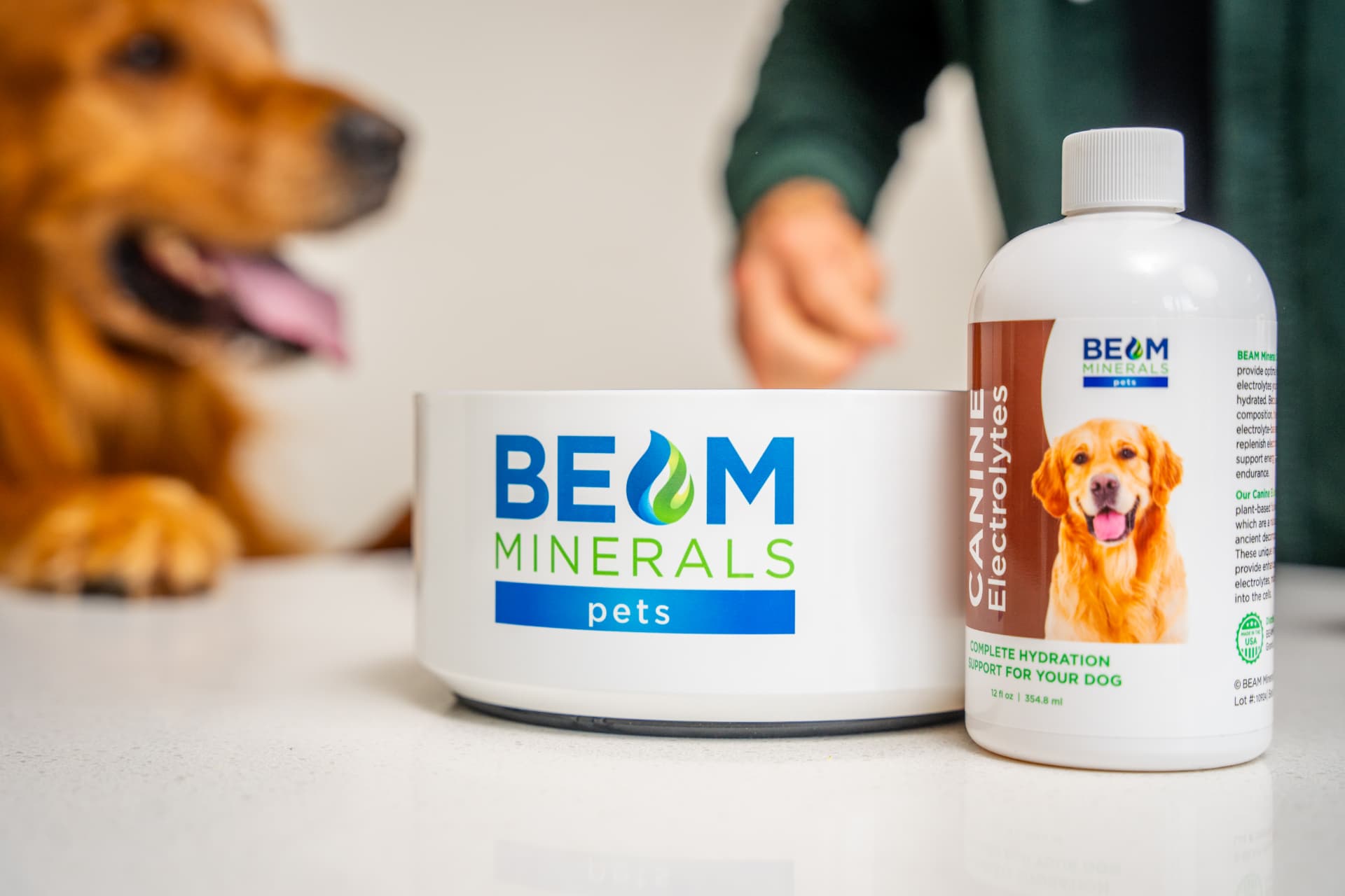 Golden retriever beside a BEAM Minerals Pets bowl and Canine Electrolytes bottle on a counter