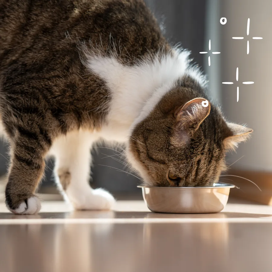 Healthy digestion