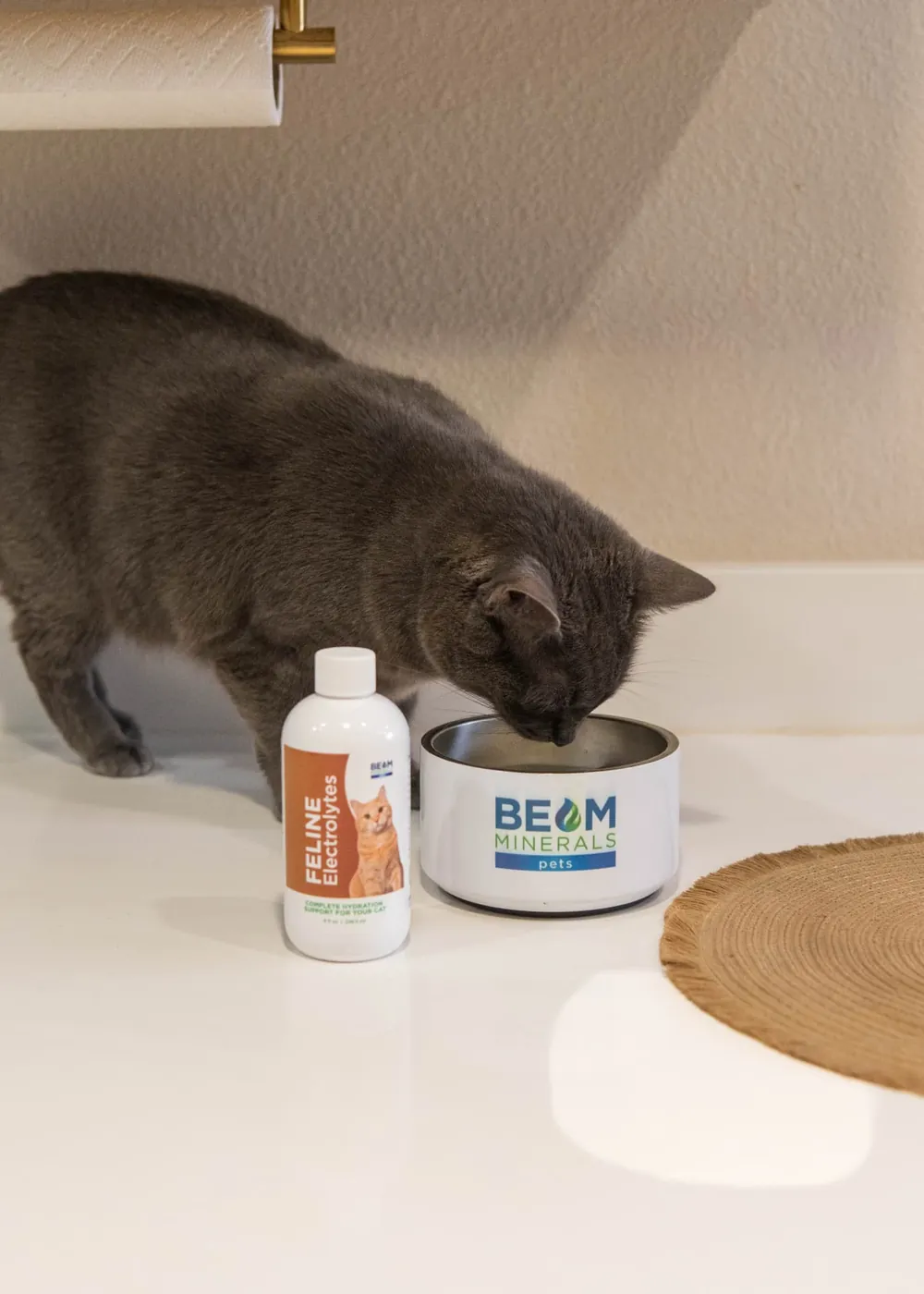 Gray cat drinking from a BEAM Minerals Pets bowl beside a Feline Electrolytes bottle