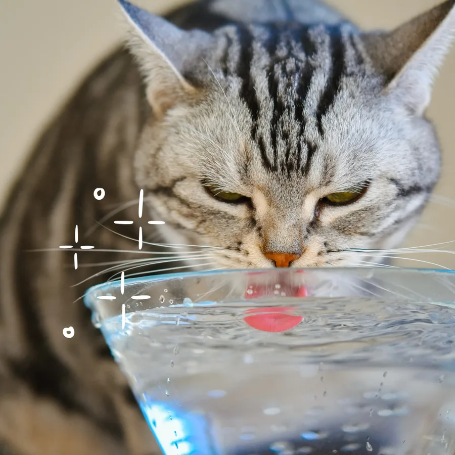 Improved hydration