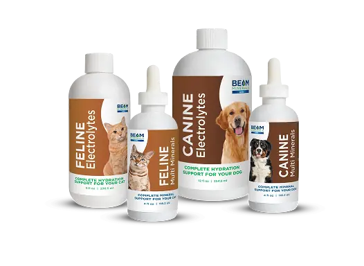 BEAM canine and feline mineral and electrolyte bottles